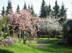 M�nchen Privatzimmer S. Templin: Garten