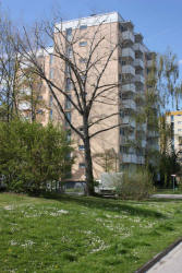 M�nchen ***Apartment Mangold: S�dansicht