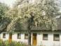 Erding: G�stehaus Apfelbaum